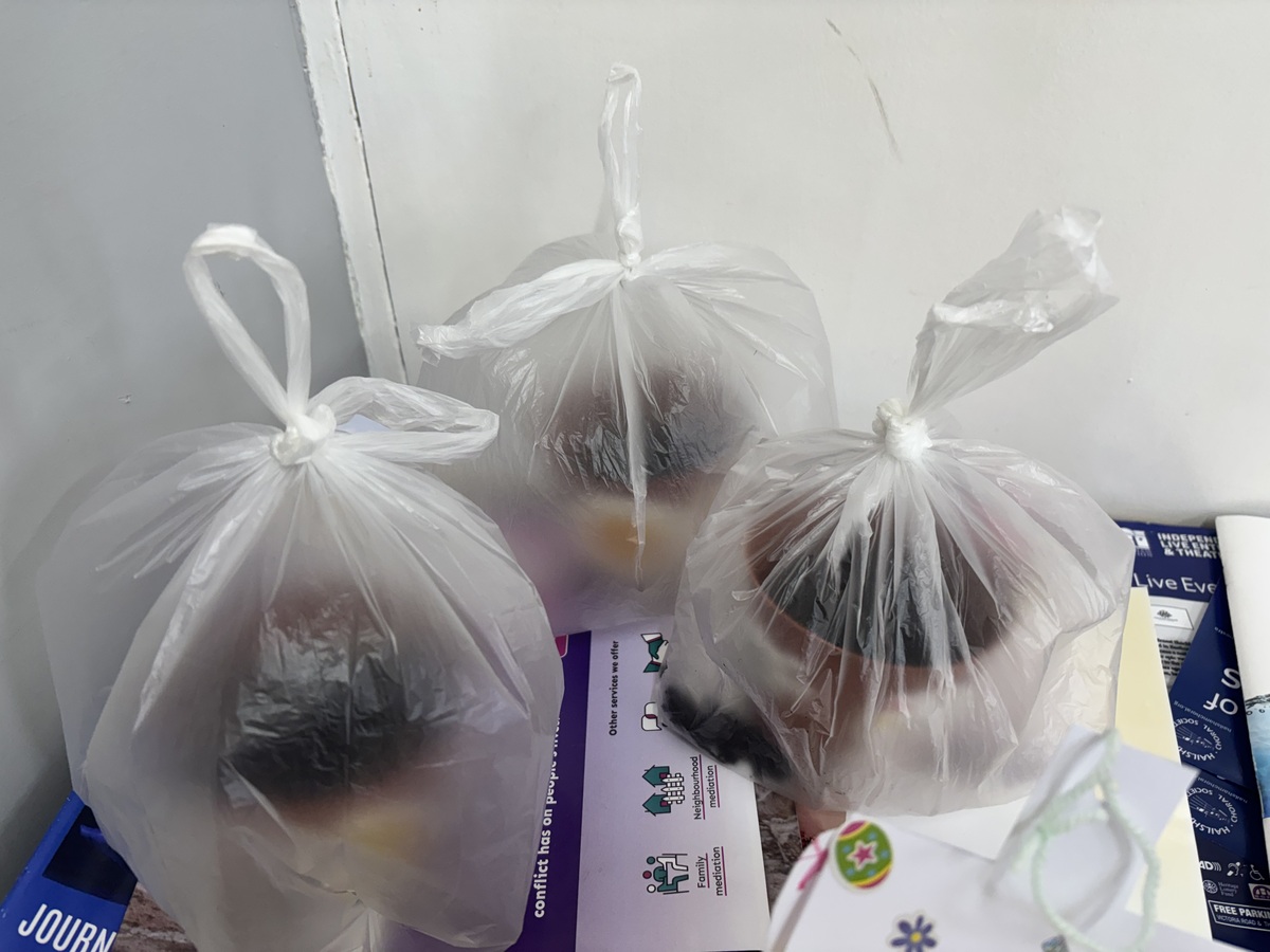 Planted sunflower seeds